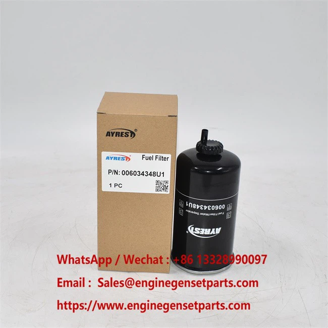 006034348U1 Fuel Filter