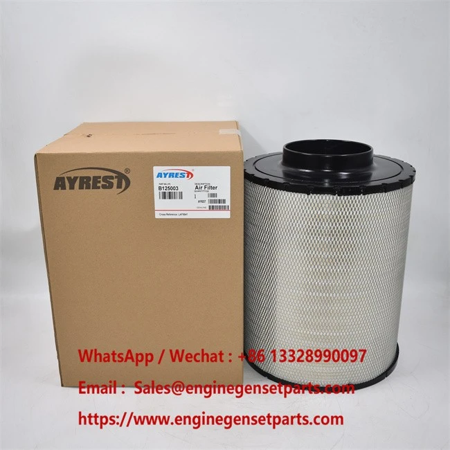 LAF9541 Air Filter